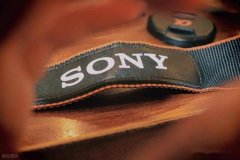 但仍需理性看待市场波动