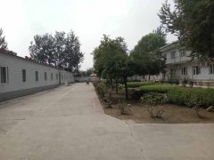 从生活照料到精神慰藉